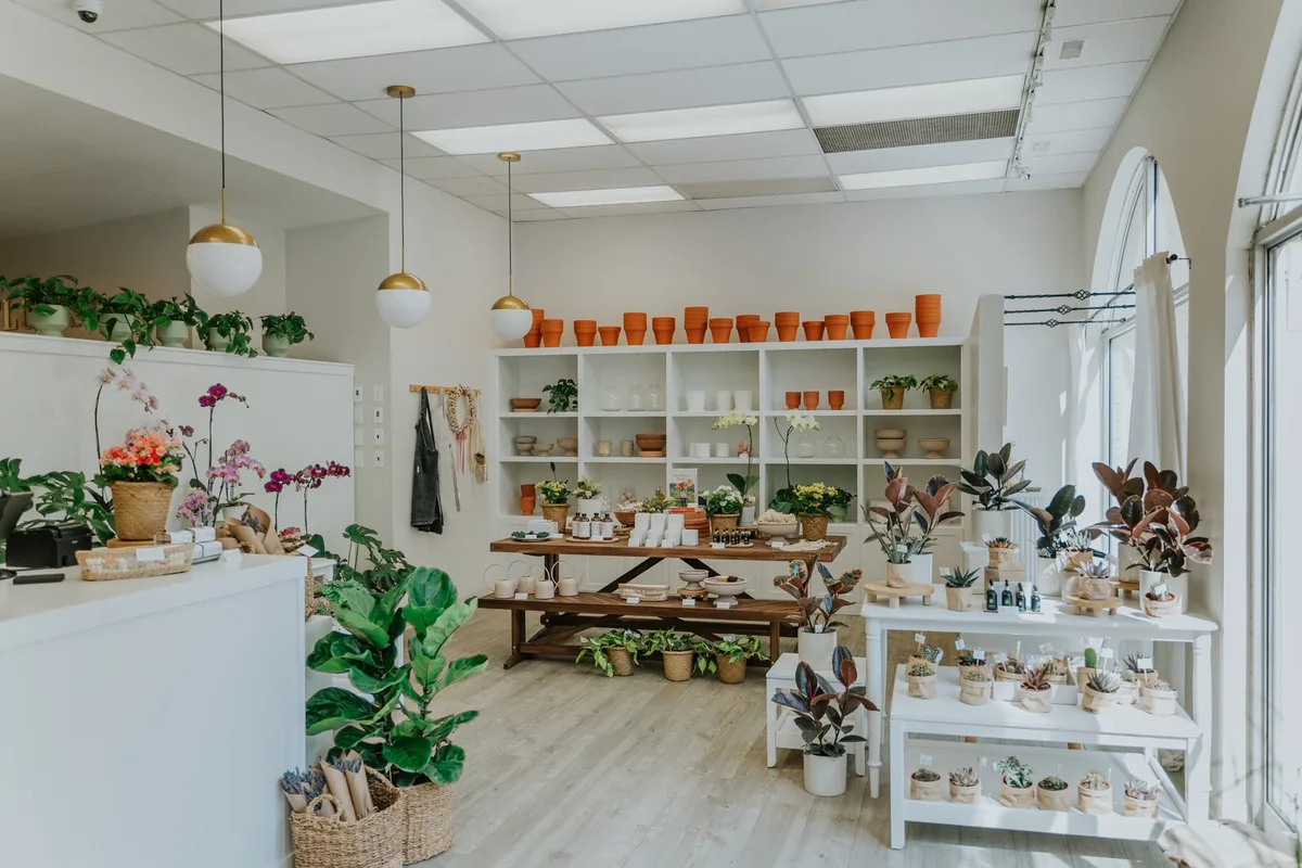 Plants and flower pots displayed inside a local shop