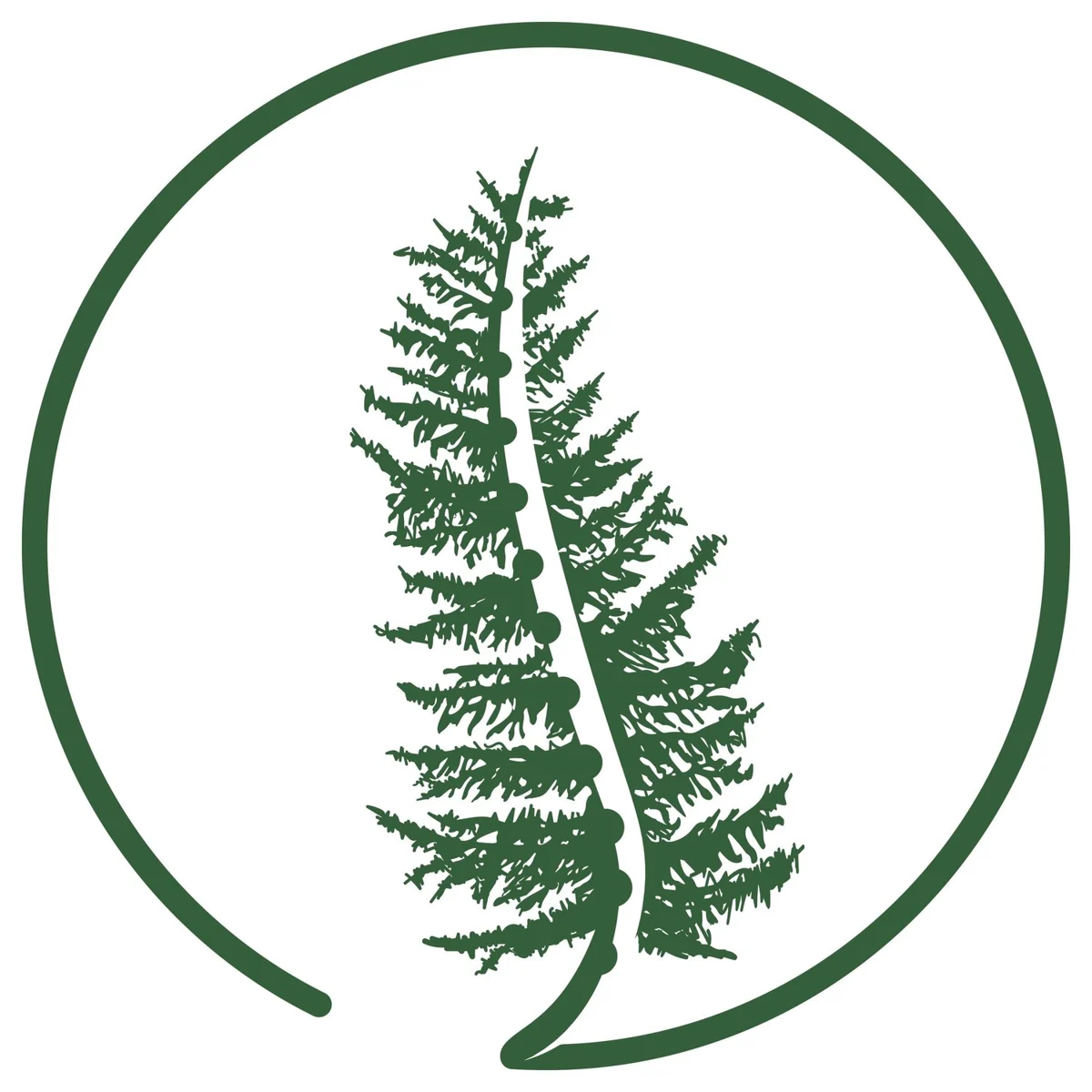 Boreal Spine And Sport
